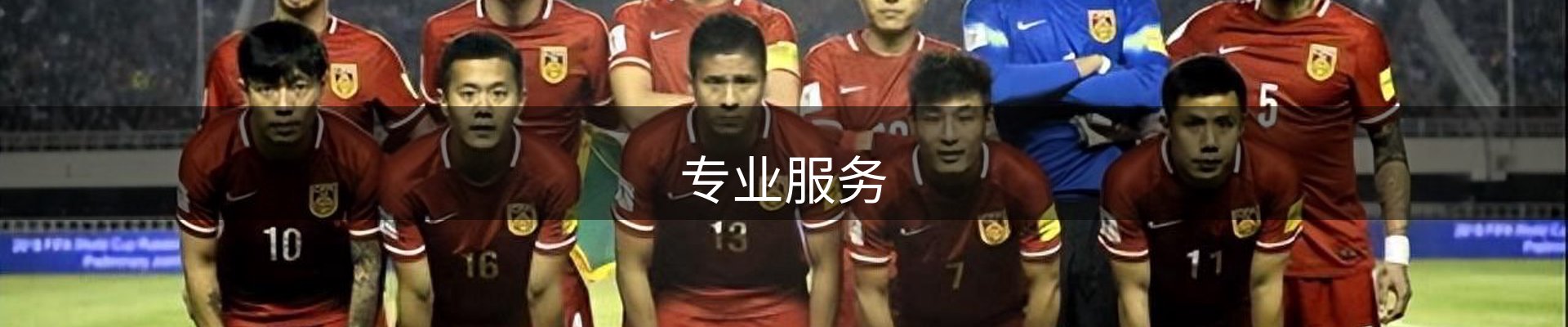 专业服务